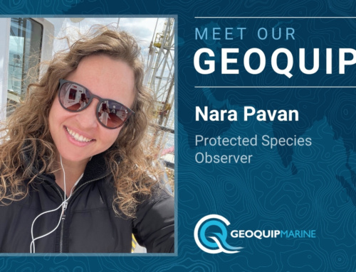 Meet Our Geoquip: Nara Pavan, Protected Species Observer